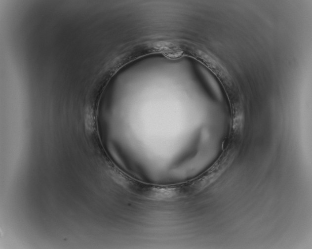 X0000112360469200908271257