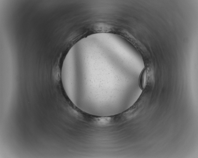 X0000112360474200908271257