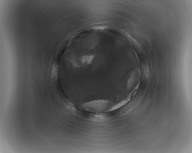 X0000112360475200908271257