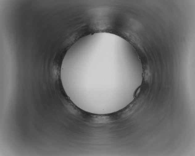 X0000112360476200908271257