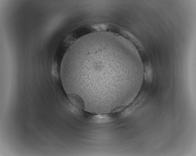 X0000112360477200908271257