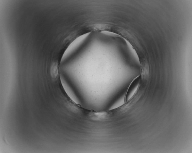 X0000112360478200908271257