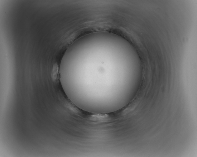 X0000112360480200908271257