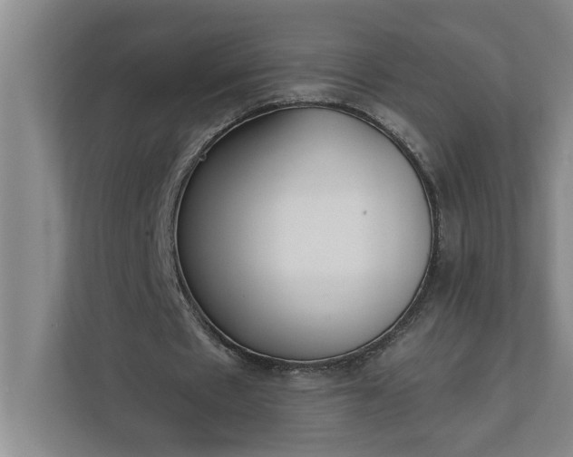 X0000112360481200908271256