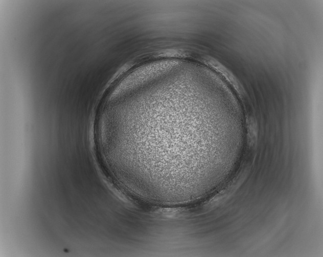 X0000112360482200908271256