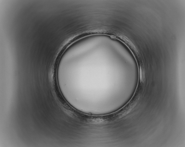 X0000112360483200908271256