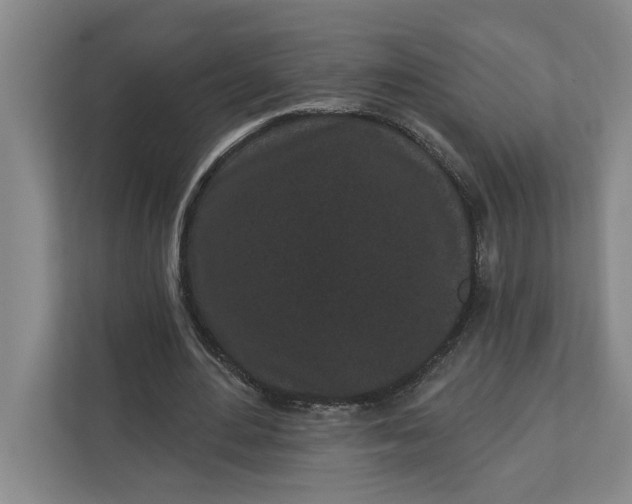 X0000112360484200908271256