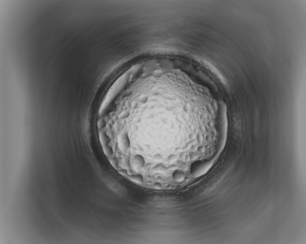 X0000112360487200908271256