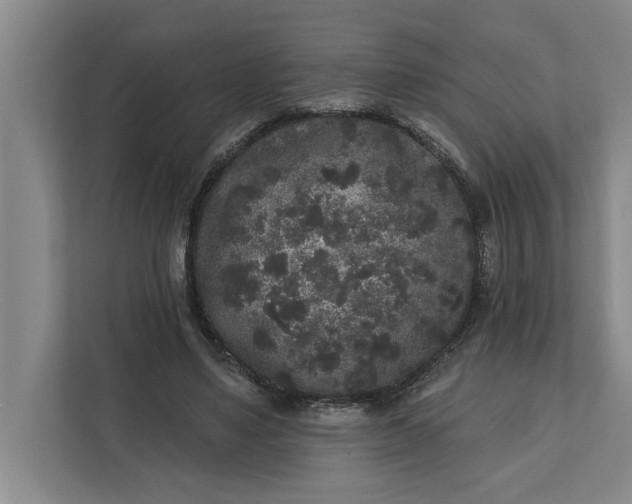 X0000112360491200908271256