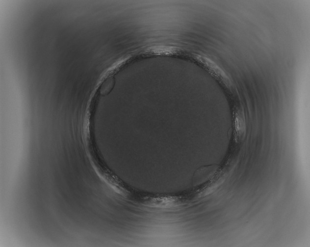 X0000112360492200908271256