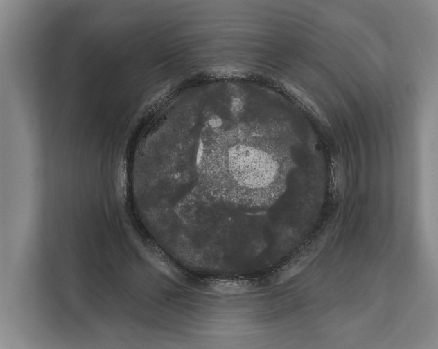 X0000112360494200908271256