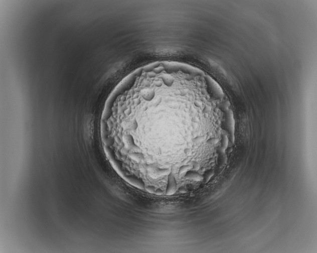 X0000112360495200908271256