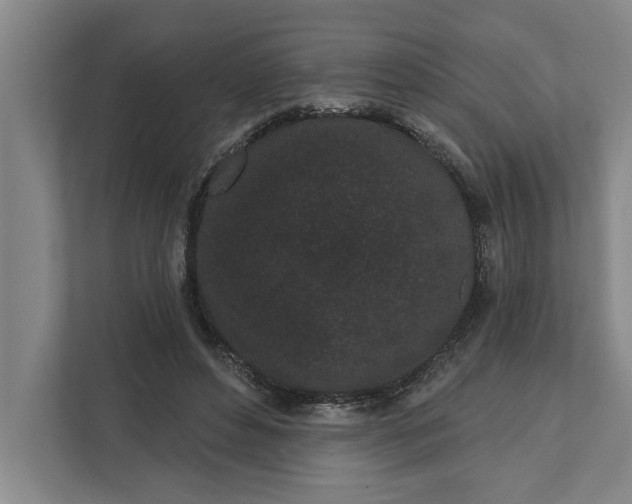 X0000112360496200908271256