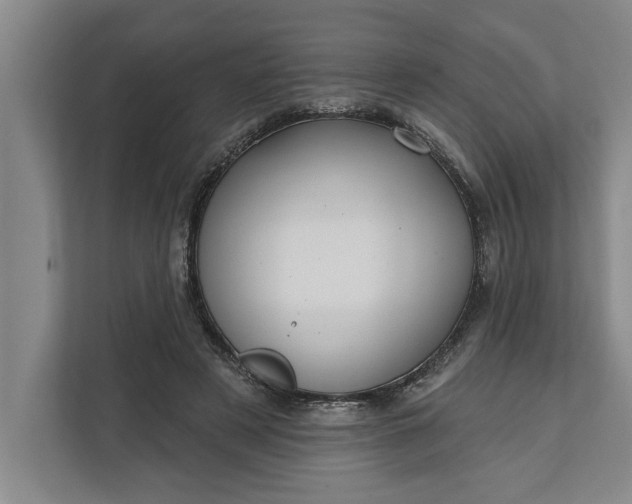 X0000112360497200908271256