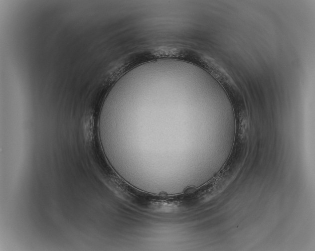 X0000112360498200908271256