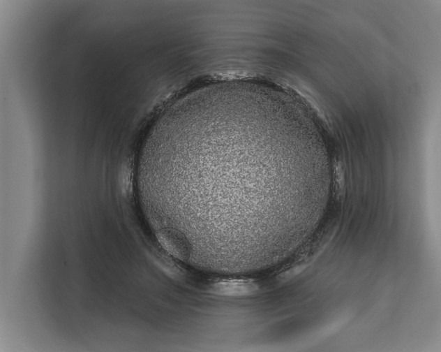 X0000112360499200908271256