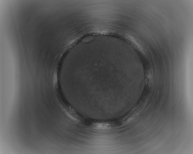 X0000112360500200908271256