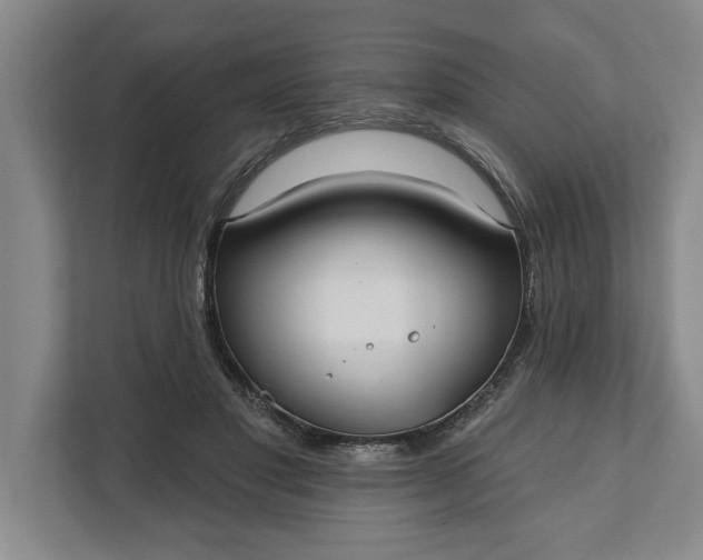 X0000112360501200908271256