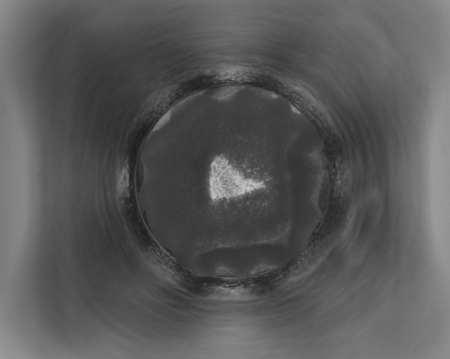 X0000112360502200908271256