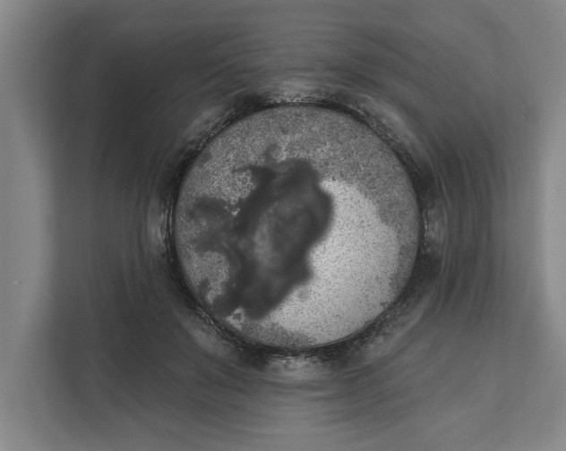 X0000112360503200908271256