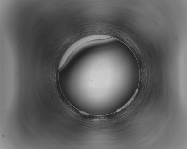 X0000112360505200908271256