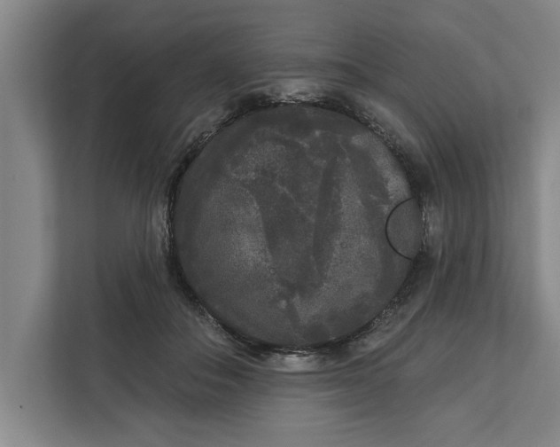 X0000112360506200908271256