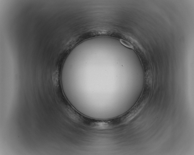 X0000112360509200908271256