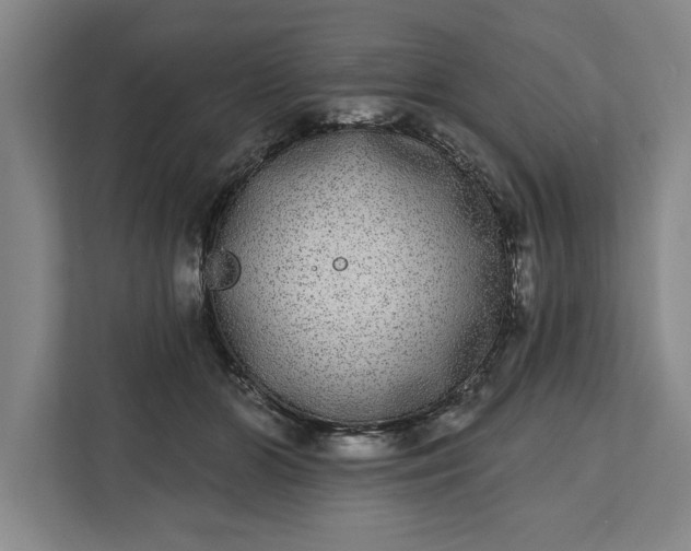 X0000112360510200908271256