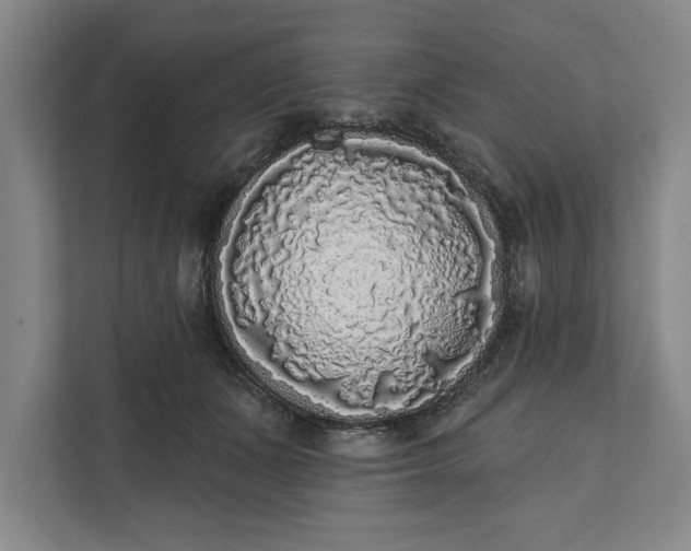 X0000112360511200908271256