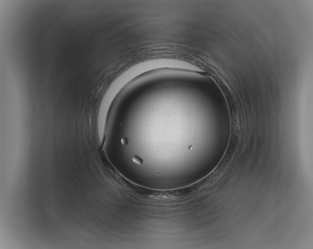 X0000112360512200908271256