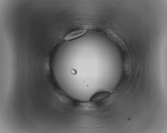 X0000112360516200908271256