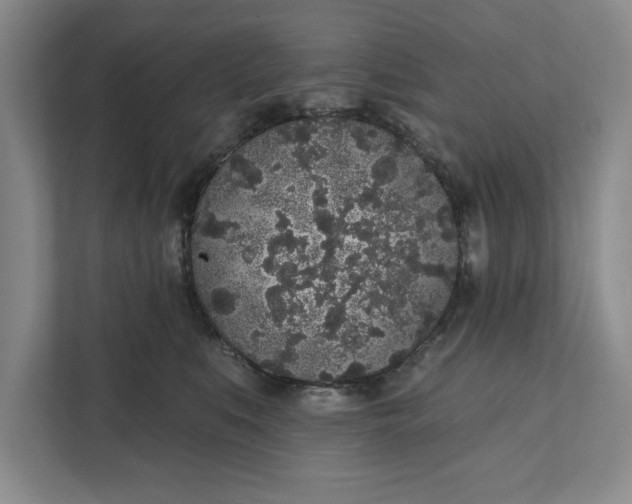 X0000112360519200908271256