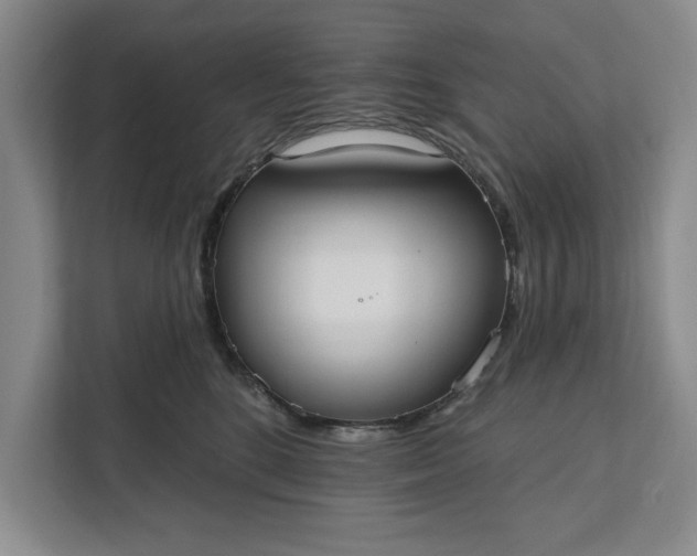 X0000112360520200908271256