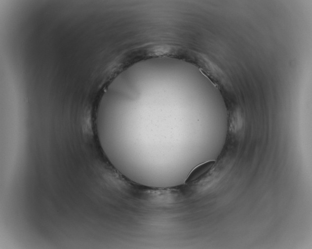 X0000112360524200908271256