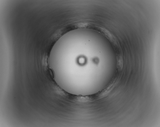 X0000112360525200908271256