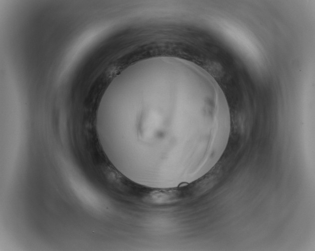 X0000112360526200908271256