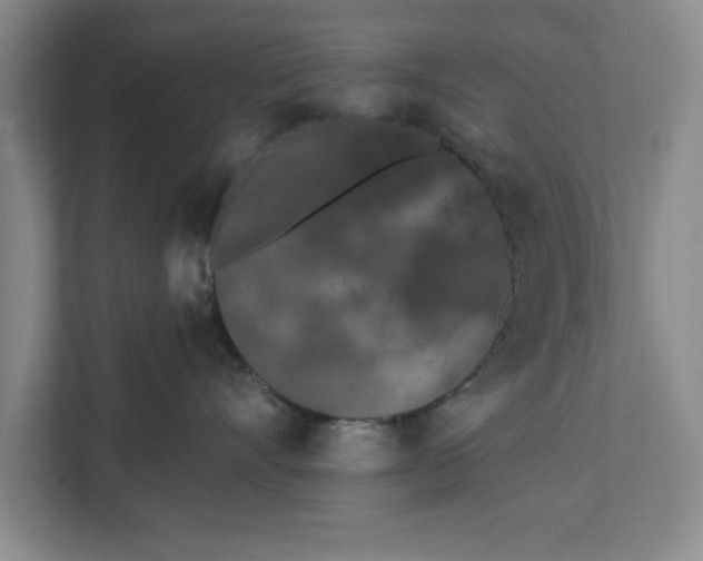 X0000112360528200908271256