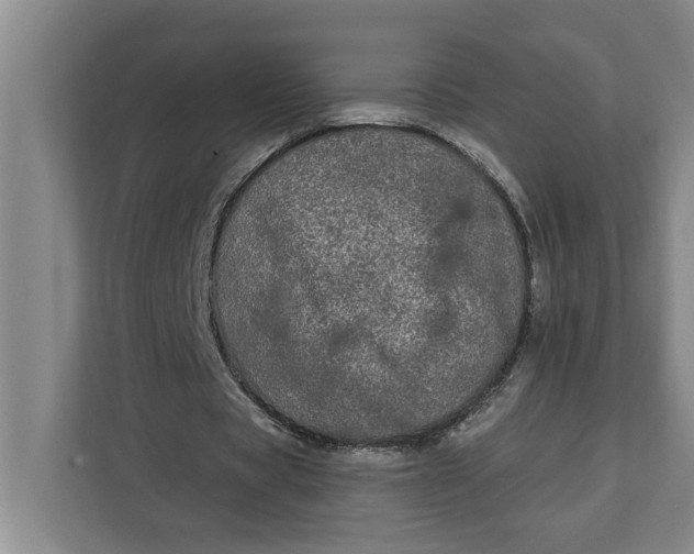 X0000112360529200908271255