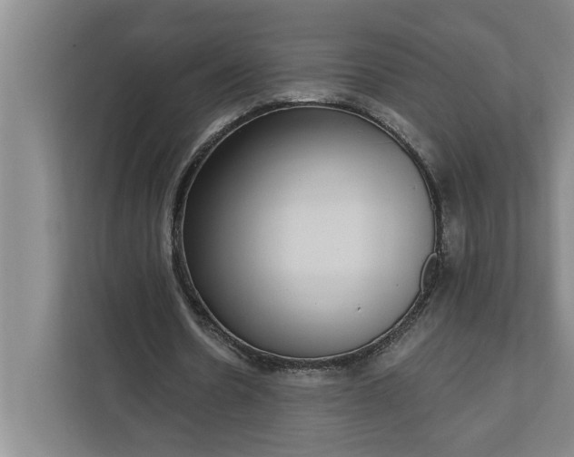 X0000112360530200908271255