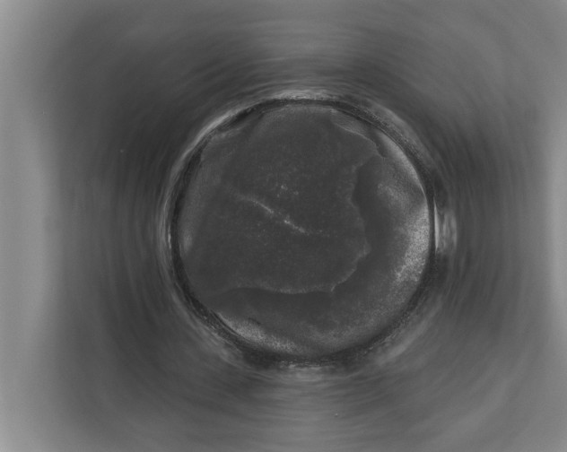 X0000112360531200908271255