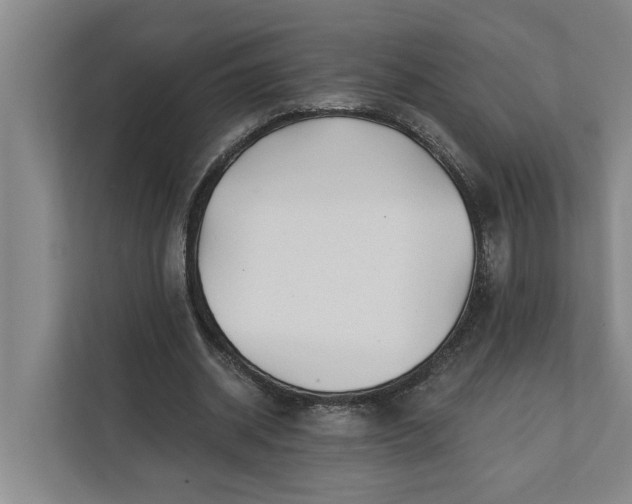 X0000112360534200908271255