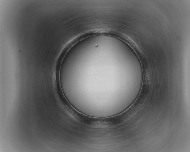 X0000112360535200908271255