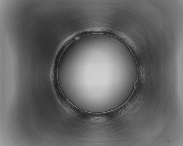 X0000112360536200908271255