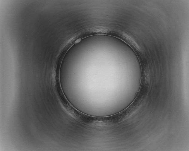 X0000112360538200908271255