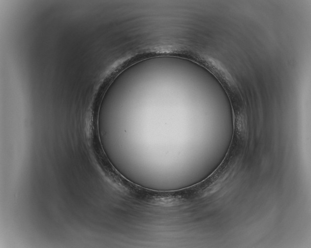 X0000112360540200908271255