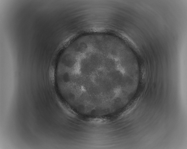 X0000112360542200908271255