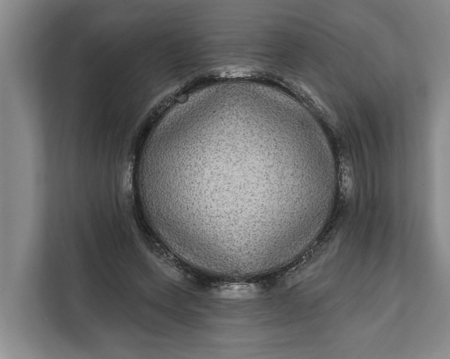 X0000112360543200908271255