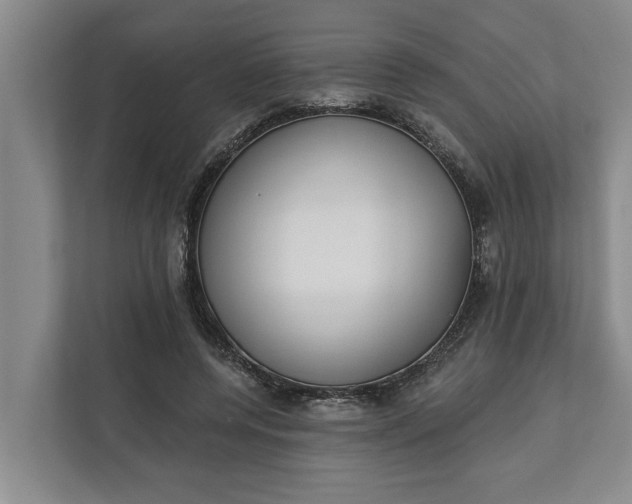 X0000112360544200908271255