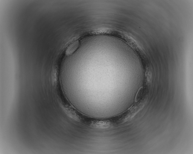 X0000112360546200908271255