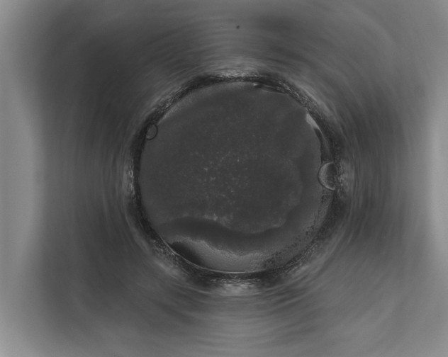 X0000112360547200908271255